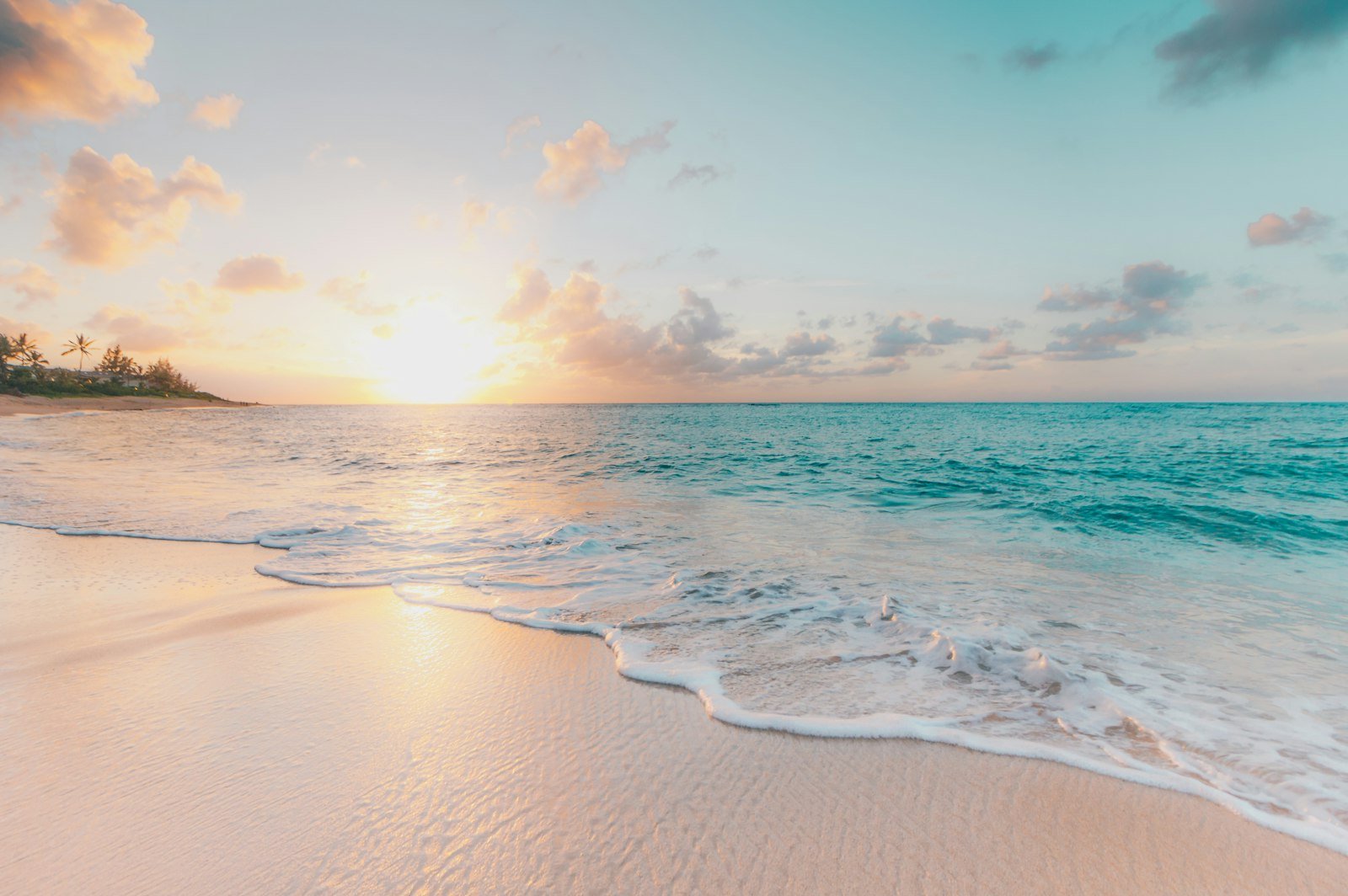 Stock photograph of a sunlit shoreline